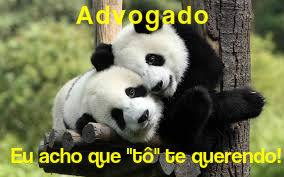 abraço de urso- te querendo